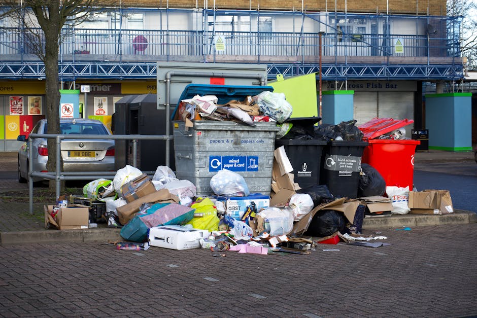 Insider tips to speed Wood Green rubbish pickups