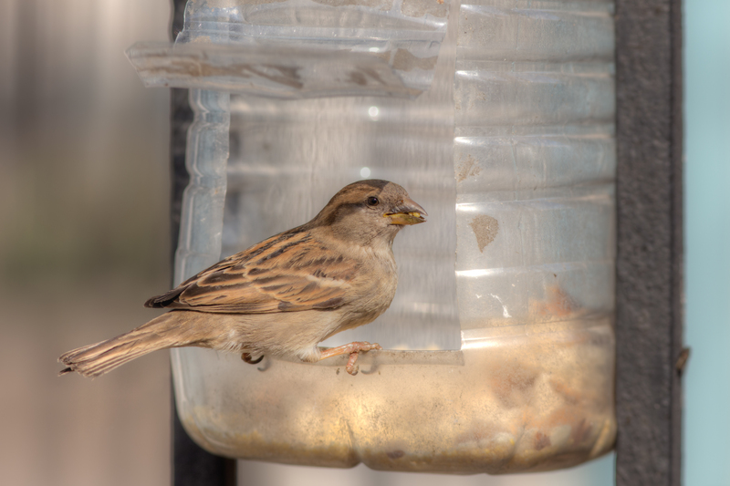 Inspired Living: Eco Upcycling Ideas to Personalize Your Home